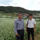 농수산물유통공사(전남) 이미지