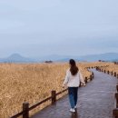 순천만수산횟집 이미지
