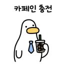 BHC안성 - 안성시 안성맞춤대로 1063-1 | BHC안성