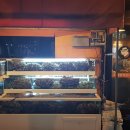 조개깡패연구소 이미지