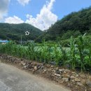 김동석농장 이미지