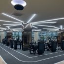 황금서초부동산중개법인주식회사 | # 서초그랑자이아파트, 38평 전세 물건