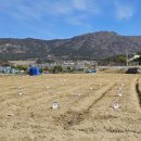 박종우농장 이미지