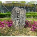 마로니에쉼터 이미지