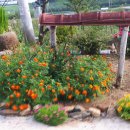 성현2농장 이미지