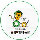 호랭이농장 이미지