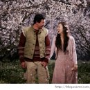 너는내운명 이미지