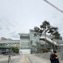 주차37 | 대구 남산동 속눈썹펌 전문 파스텔뷰티 | 목욕탕 가서도 살아남는 듀얼 속눈썹펌 받은 생생 후기