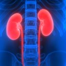 일진내추럴 이미지