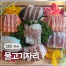인천 검단신도시 아라역 횟집 물고기자리 모둠숙성회단품 후기