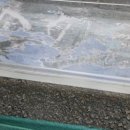 성환크리닝 이미지