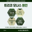 이음산부인과의원 이미지