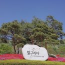 올시스템 이미지