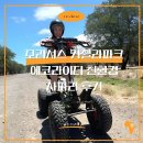 네 바퀴와 함께 동행 | 모리셔스 카젤라파크 에코라이더 친환경 사파리 후기