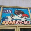 선랑태권도 이미지