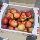 온유농장 이미지