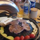 머꼬또양 이미지