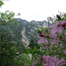 미륵천 | 설악산