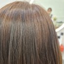 화성프라자 앞 | 화성 반월동 미용실 림헤어에서 에쉬브라운 멋내기 염색 후기