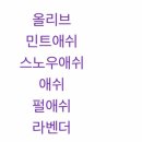 비비헤어비스 이미지