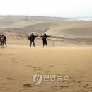 돗토리
