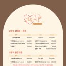 마곡 고양이 미용 호텔 이미지