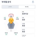 상현동 다이어트 한의원 직원의 린다이어트 12주 후기