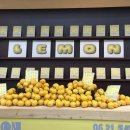 레몬 뮤직 페스티벌 in 달서 | 250621 리도어 레몬 뮤직 페스티벌 in 대구 달서아트센터 B구역 3열 시야