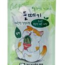 건강한펫 이미지