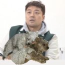 무무유치원 이미지