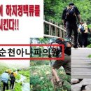 아나파적맥통증의원 이미지