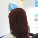 오늘헤어 이미지
