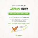 슬로우박스 이미지