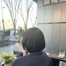 케이언트헤어 네이버블로그