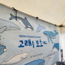 안명초등학교 | 탄소먹는 고래, 아이들과 바다를 만들다 - 세이브더칠드런 국제어린이 마라톤대회 창원