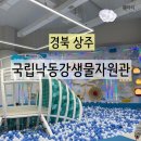 책+식물놀이터 | [경북 상주] 국립낙동강생물자원관 신상 실내놀이터 VR 예약 요금 주말후기