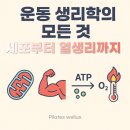 정릉14 | 정릉 필라테스 웰러스, 생리학 &amp; 운동생리 완벽 정리 (세포부터 열생리까지)