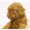 은아농장 이미지