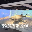 부산해양자연사박물관 | 부산 아이와 무료체험! 부산해양자연사박물관 ‘들락날락’ &amp; ‘실린이의 모험’ 후기