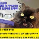 미소로 동물병원 이미지