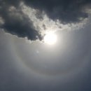 왕산농장 이미지