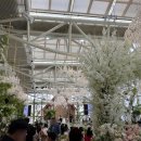 (주)바실리움 이미지