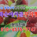 화순꾸지뽕 네이버블로그