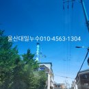 백조탕 이미지