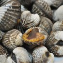 고려회관 이미지