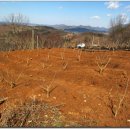 이원목장 이미지