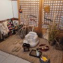 주모 | 세종 효미주막 주모세트 4인, 고해짬뽕탕 내돈내산 후기