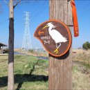 대부해솔길 1-1코스(순환코스) 이미지