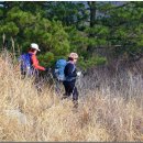 남해-171 이미지