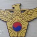 50대 살인미수 용의자 테이저건 맞고 검거됐다가 숨져 기사 이미지